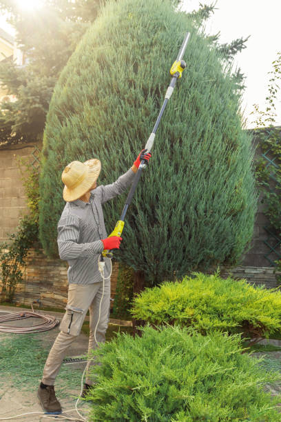 Best Lawn Pest Prevention  in Harrison, OH